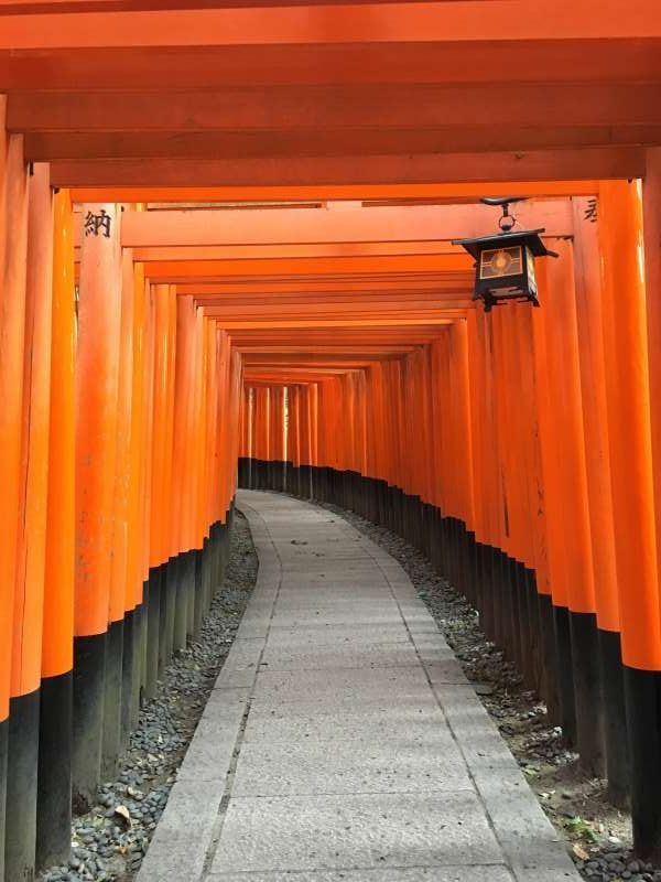 Kyoto Private Tour - Can you count how many gates the shrine has ??