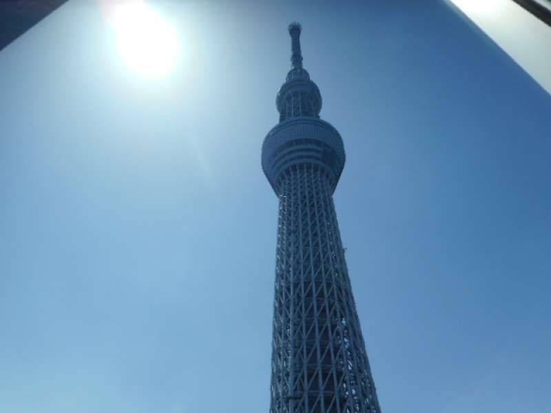 Tokyo Private Tour - As a guide, I know many places you can enjoy the view of Tokyo without paying any admission fee.