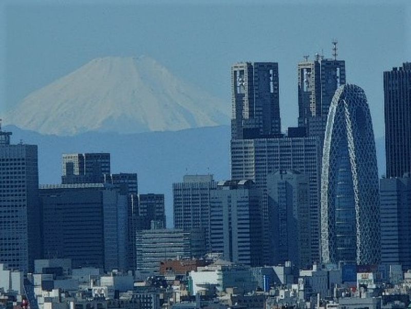 Tokyo Private Tour - Sometimes you can see Mount Fuji from Tokyo.  (Oct. 21, 2018)