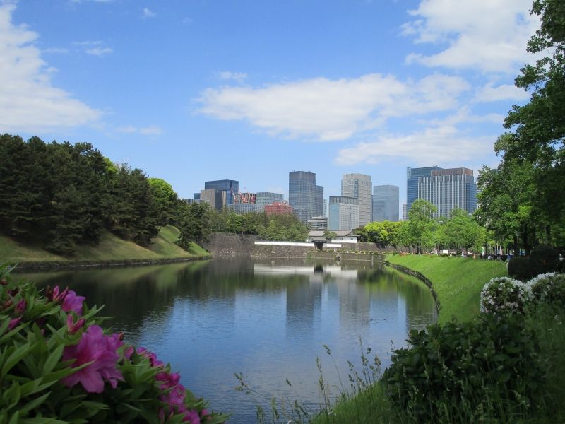 Tokyo Private Tour - Moat of the Imperial Palace and the business district near Tokyo Station