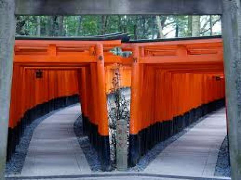 Kyoto Private Tour - Thousands of Torii at Fushimi Inari Shrine