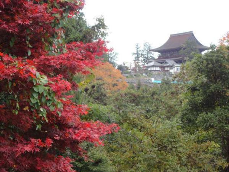 Osaka Private Tour - Zaodo viewed from Yoshimizu Shrine