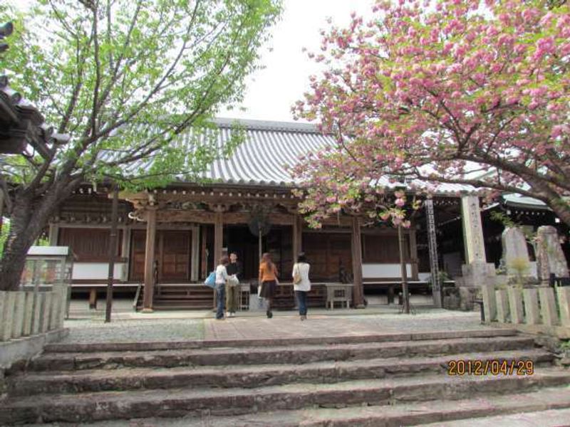 Osaka Private Tour - Sakura Honbo