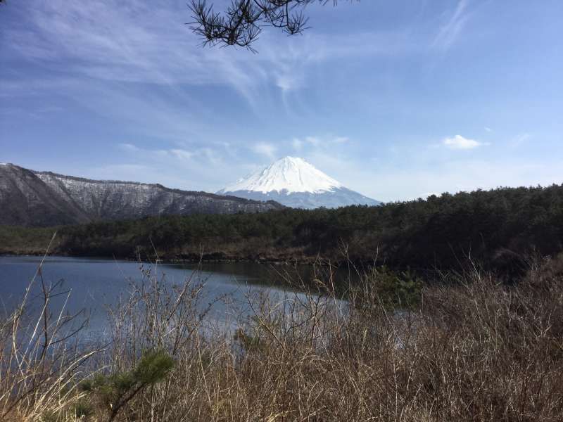 Mount Fuji Private Tour - 