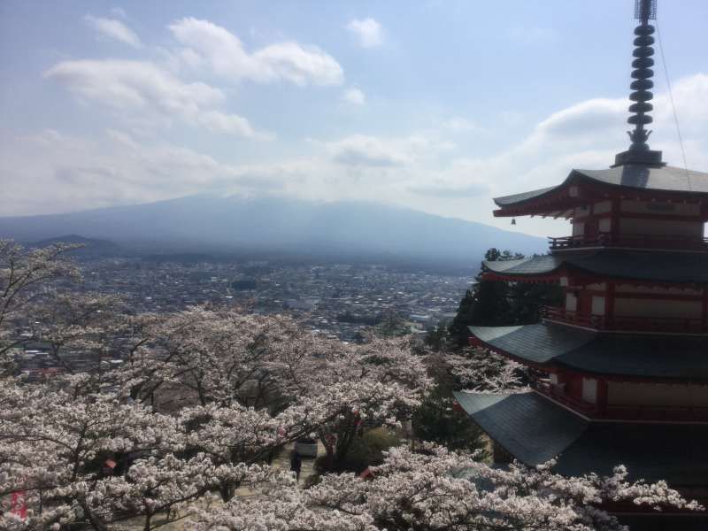 Mount Fuji Private Tour - 