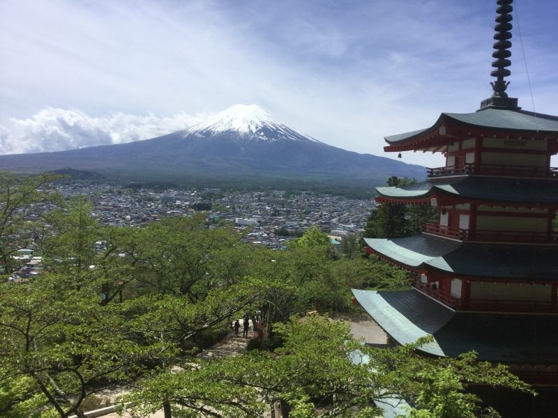 Mount Fuji Private Tour - null