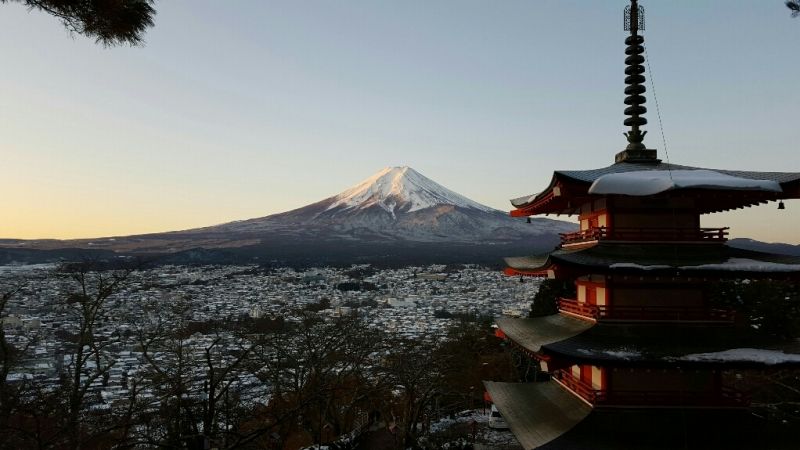 Mount Fuji Private Tour - null