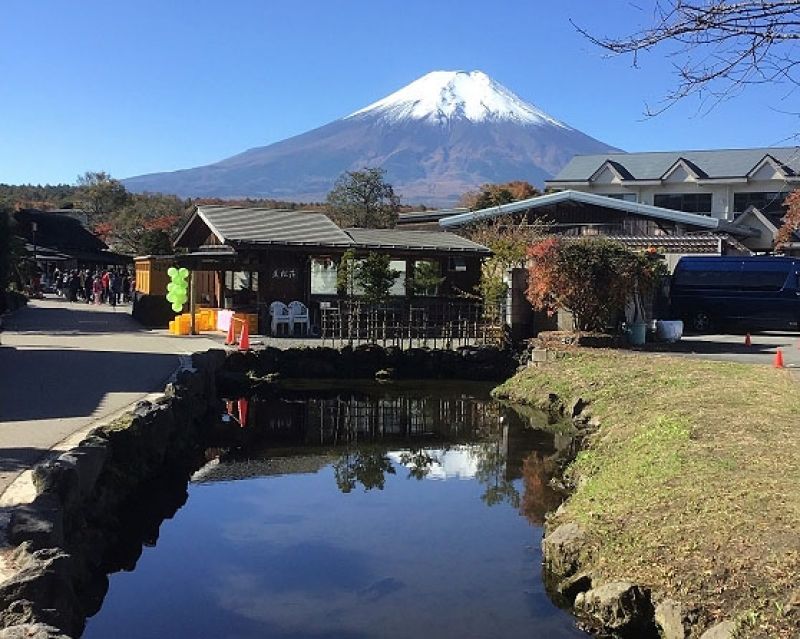 Mount Fuji Private Tour - null