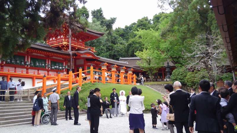 Nara Private Tour - Shinto wedding at Kasuga Taisha shrine (option)
