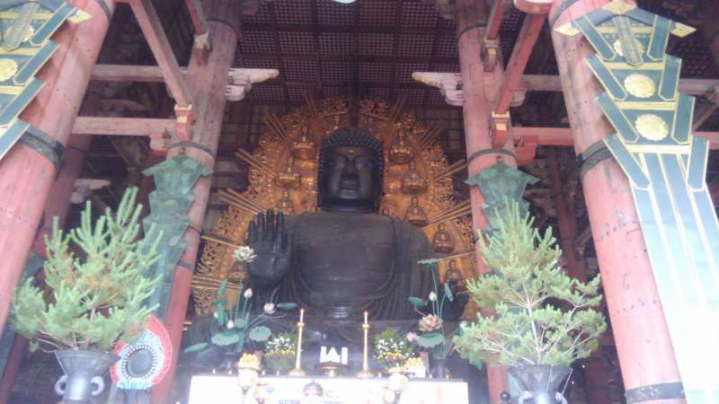 Nara Private Tour - Great Buddha at Todaiji temple