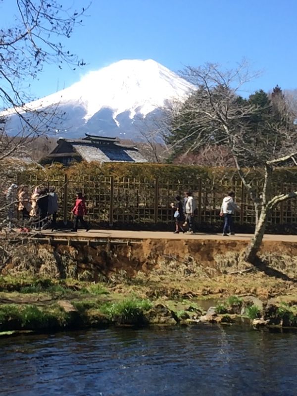 Mount Fuji Private Tour - oshino eight ponds