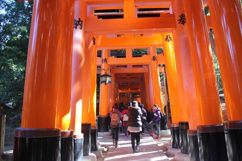 Kyoto Private Tour - The entrance gate of Torii.
