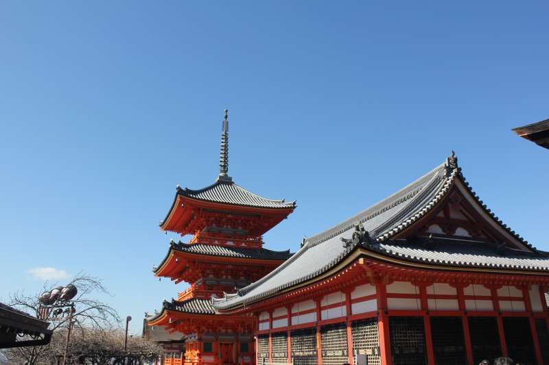 Kyoto Private Tour - Three story pagoda and kyo-do or a repository of the Buddist Sutras.