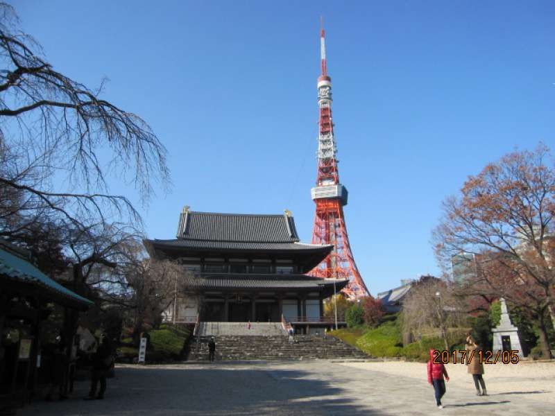 Tokyo Private Tour - Zojo-ji Temple: An old temple founded in 14th century.