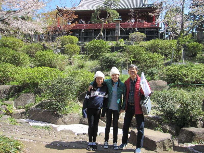 Tokyo Private Tour - Ueno Park:The largest park in Tokyo. In spring it is also famous for its Hanami party.