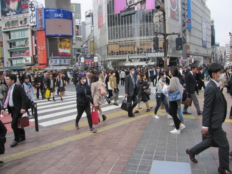 Tokyo Private Tour - Shibuya crossing: