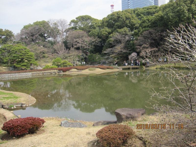 Tokyo Private Tour - East Garden of Imperial Palace:  A small sized typical Japanese garden here.