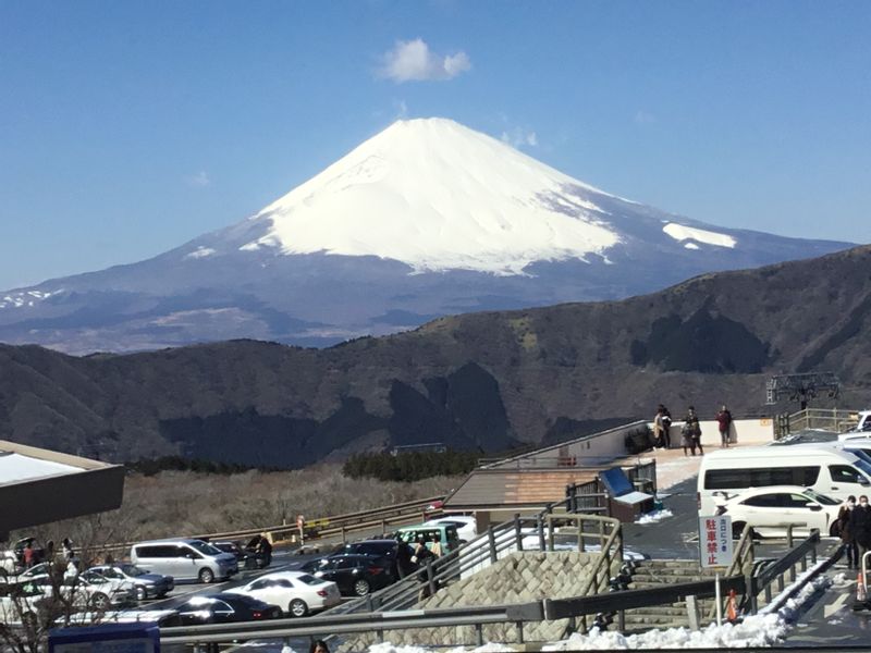 Hakone Private Tour - Oowakudani