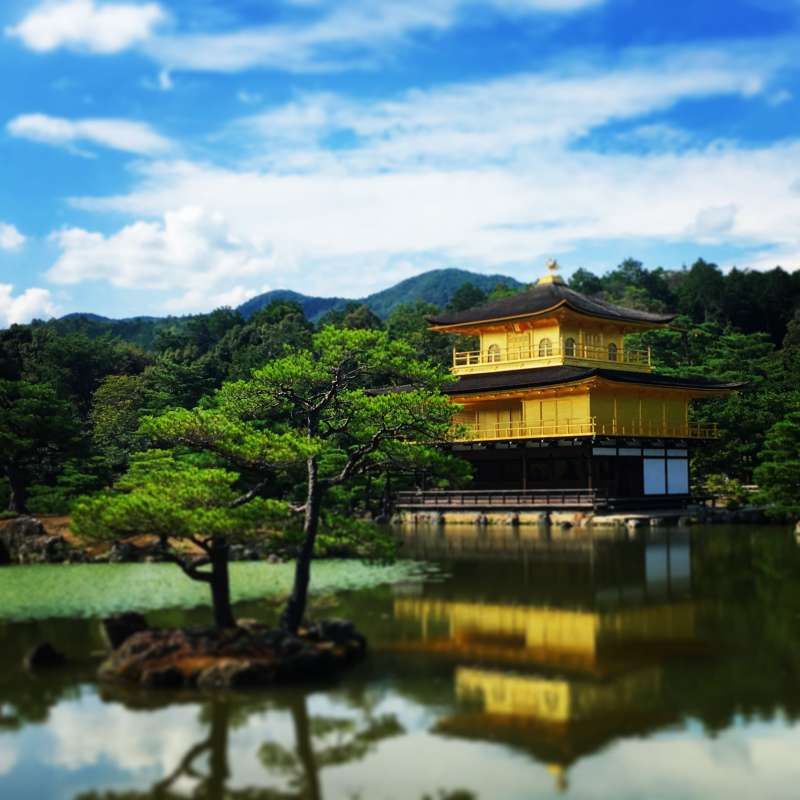 Kyoto Private Tour - The temple is reflected in the water if the weather is good.