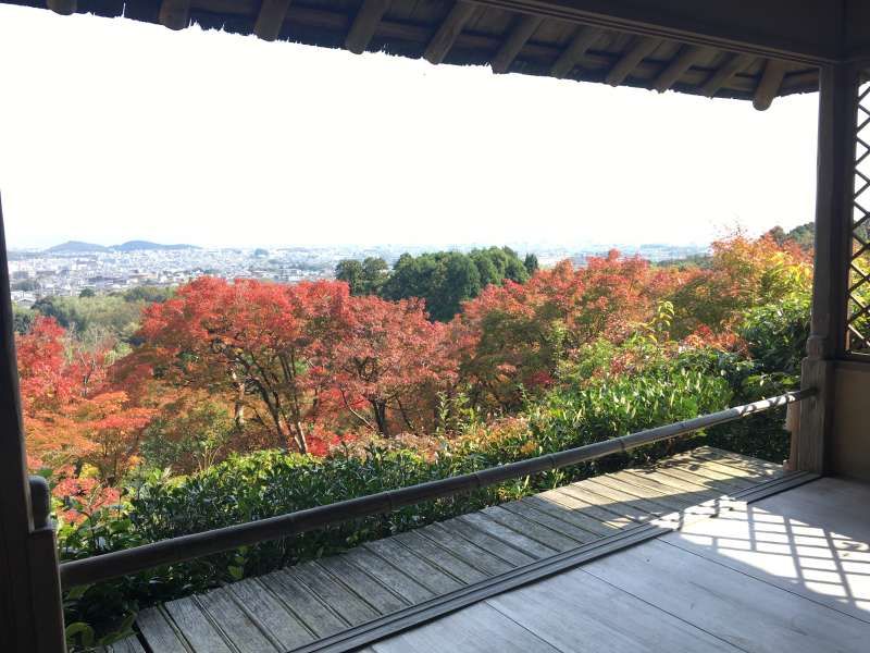 Kyoto Private Tour - Have a view from Okochi villa