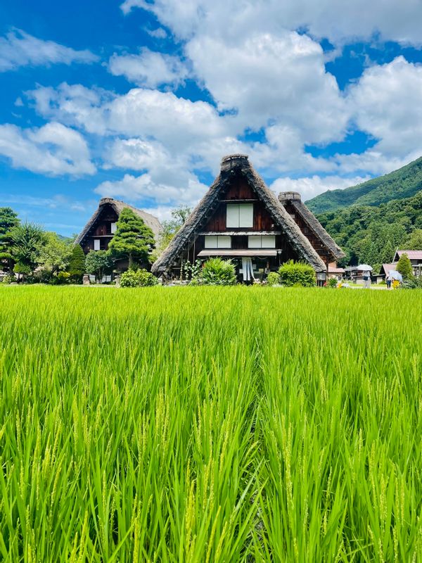 Takayama Private Tour - Takayama and Shirakawa-go are world-famous for their well-preserved Japanese folk houses. Each section of these traditional homes has a unique purpose. Your guide will tell the stories of how the people lived in the past, using the natural resources in the Hida region.