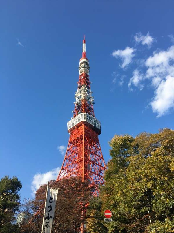 Tokyo Private Tour - Tokyo tower