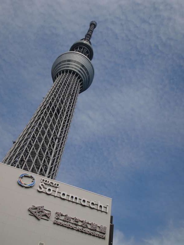 Tokyo Private Tour - Tokyo skytree