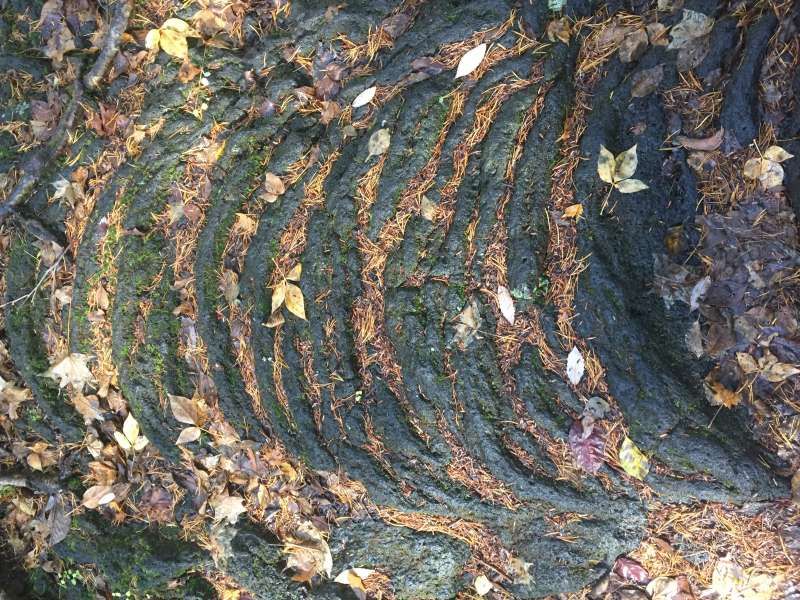 Mount Fuji Private Tour - Lava looks like ripples