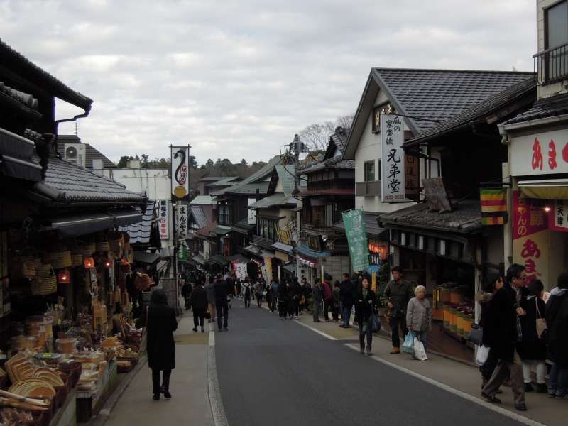 Narita Private Tour - Omotesando (Shopping Street)