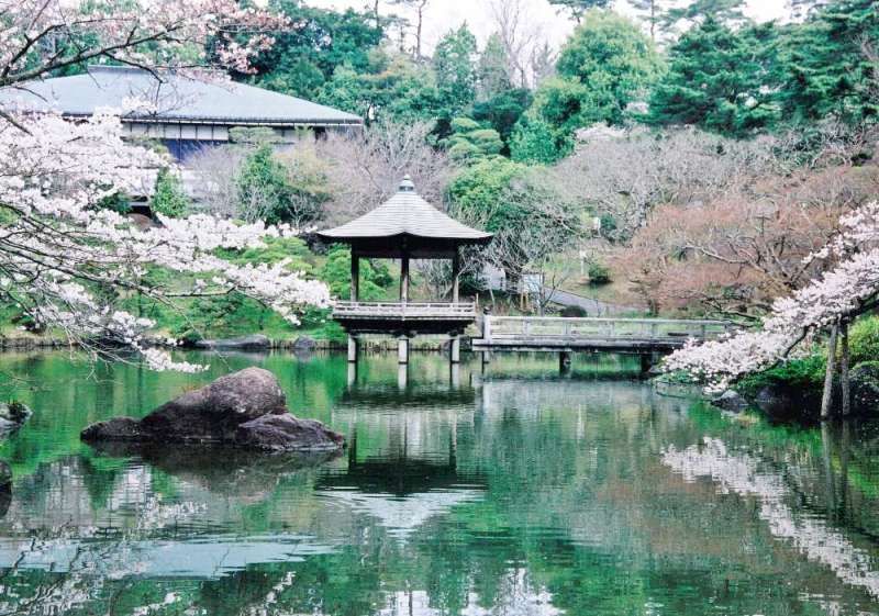 Narita Private Tour - Naritasan Japanese Garden