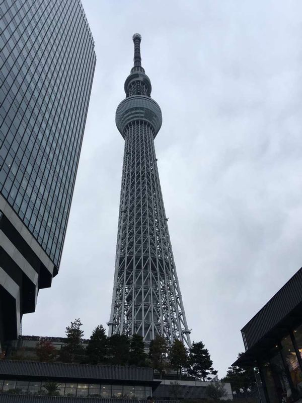 Tokyo Private Tour - 2. Tokyo Sky Tree