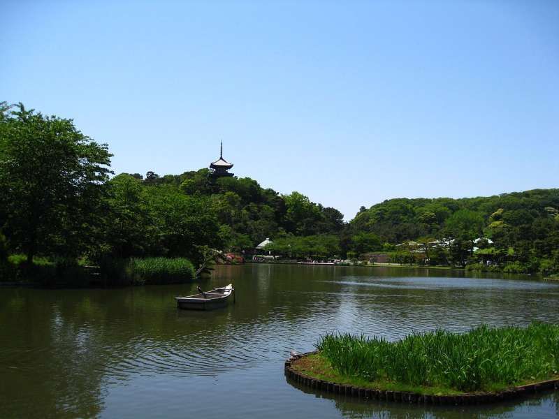 Yokohama Private Tour - 2. Yokohama route: Sankeien Garden where you can visit many traditional buildings in its wonderful Japanese Garden (Admission 700 JPY per person, except for the guide)