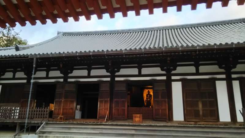 Nara Private Tour - Yakushiji Temple Toin-do Hall in  Nara