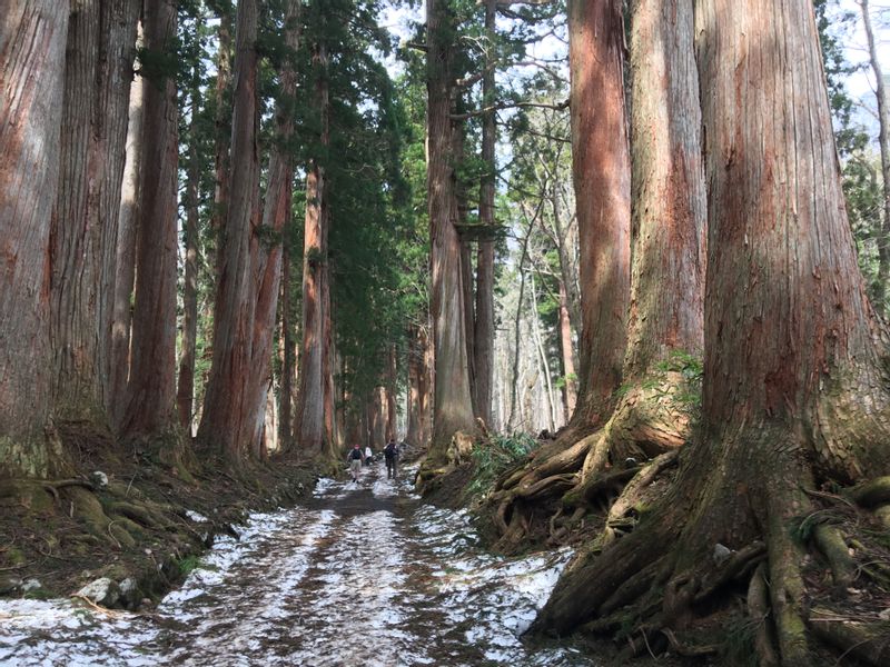 Nagano Private Tour - Approaching Path to Okusha