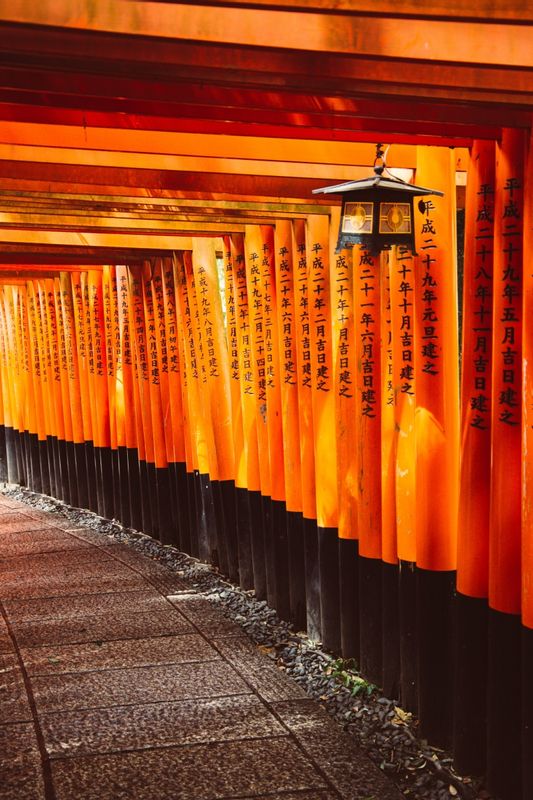 Kyoto Private Tour - Fushimi Inari shrine torii gates