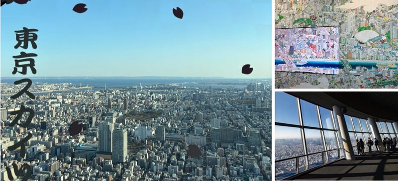 Tokyo Private Tour - Observation deck's view