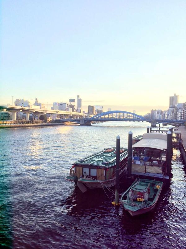 Tokyo Private Tour - Sumida river