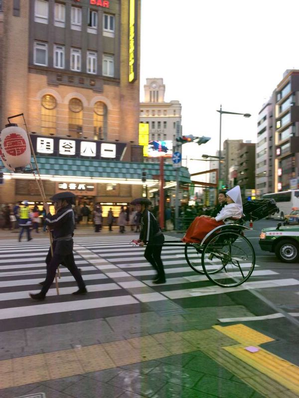 Tokyo Private Tour - Rickshaws