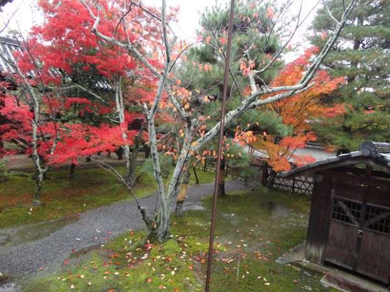 Kyoto Private Tour - the first stroll-type garden 