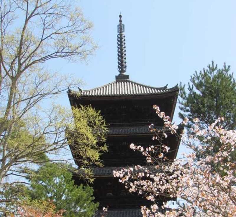 Kyoto Private Tour - Five-storied Pagoda at Ninnaji Temple