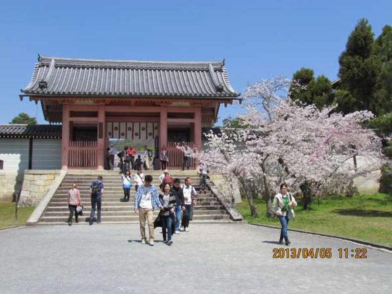 Kyoto Private Tour - Chumon Gate at Ninnaji Temple