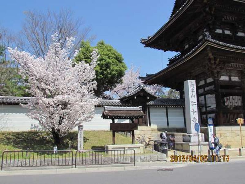 Kyoto Private Tour - Ninnaji Temple