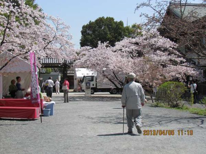 Kyoto Private Tour - Ninnaji Temple