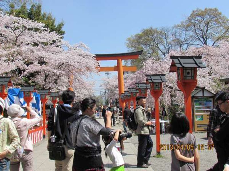 Kyoto Private Tour - Hirano Shrine