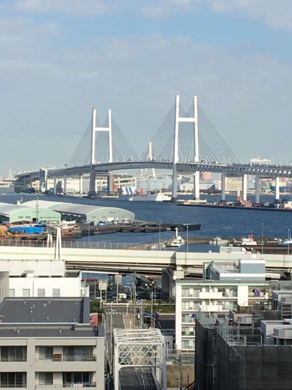 Yokohama Private Tour - From the bluff area, you can enjoy views of the port area including the Bay Bridge.