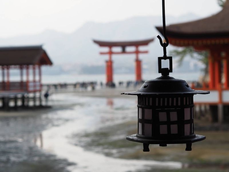 Kyoto Private Tour - null