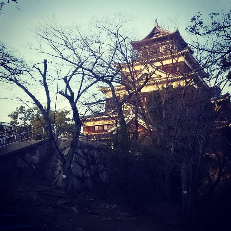 Kyoto Private Tour - Sunset@Hiroshima Castle