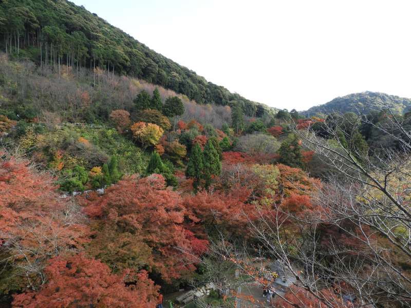 Kyoto Private Tour - Kiyomizu dera temple