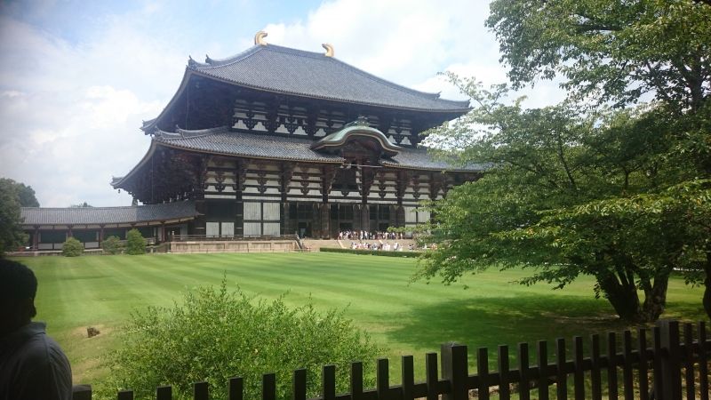 Nara Private Tour - Todaiji temple in Nara