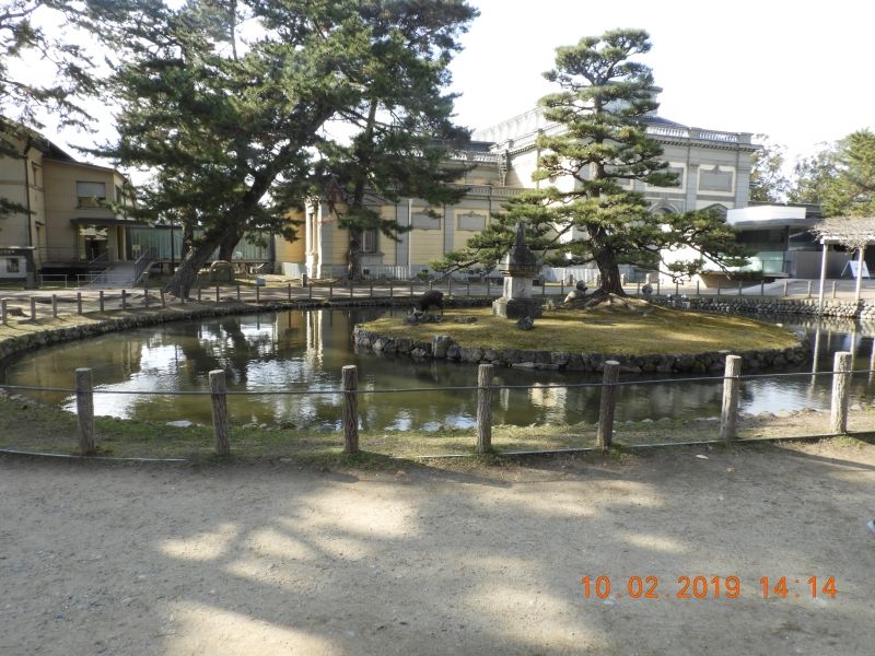 Nara Private Tour - Nara deers park